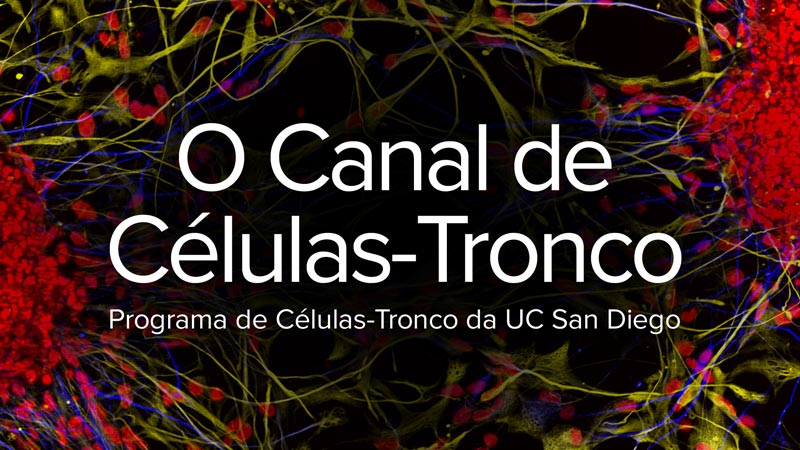 O Canal de Células-Tronco